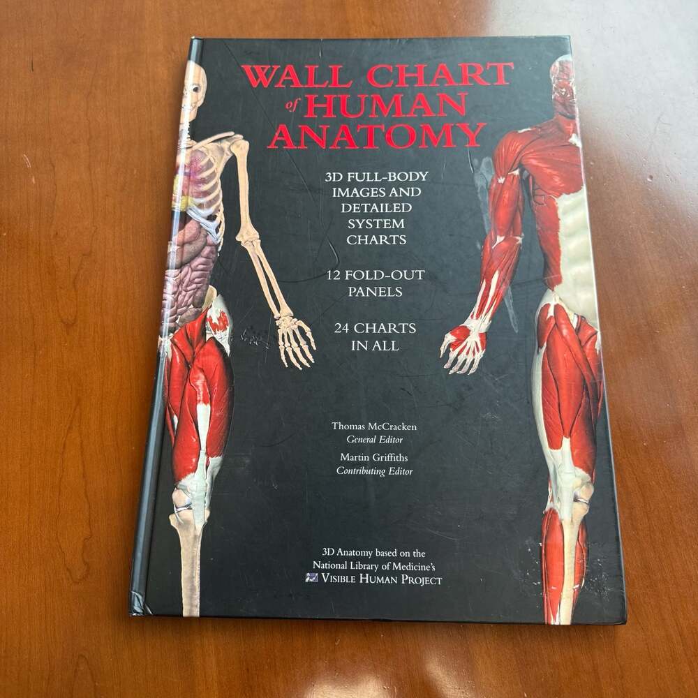 Wall Chart Of Human Anatomy - 3d Dull-body Images And Detailed System Charts